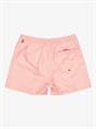Quiksilver Everyday Deluxe 15" - Zwemshorts voor heren