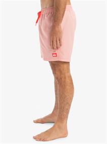 Quiksilver Everyday Deluxe 15" - Zwemshorts voor heren