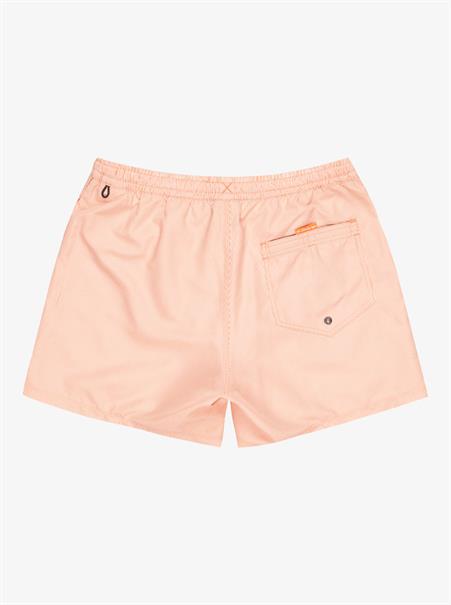 Quiksilver Everyday Deluxe 15" - Zwemshorts voor heren