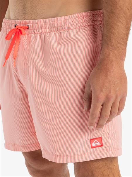 Quiksilver Everyday Deluxe 15" - Zwemshorts voor heren