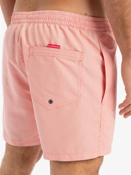 Quiksilver Everyday Deluxe 15" - Zwemshorts voor heren