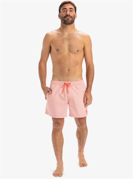 Quiksilver Everyday Deluxe 15" - Zwemshorts voor heren