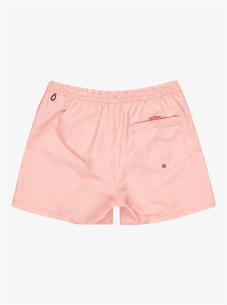 Quiksilver Everyday Deluxe 15" - Zwemshorts voor heren