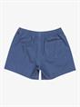 Quiksilver Everyday Flex 15" - Swim Shorts for Men