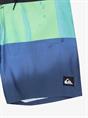 Quiksilver Everyday Panel 17" - Swim Shorts for Boys 8 - 16