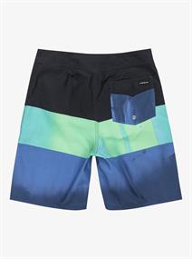 Quiksilver Everyday Panel 17" - Swim Shorts for Boys 8 - 16
