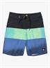 Quiksilver Everyday Panel 17