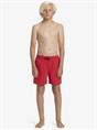 Quiksilver Everyday Solid 14" - Swim Shorts for Boys 8 - 16
