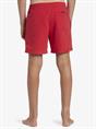 Quiksilver Everyday Solid 14" - Swim Shorts for Boys 8 - 16
