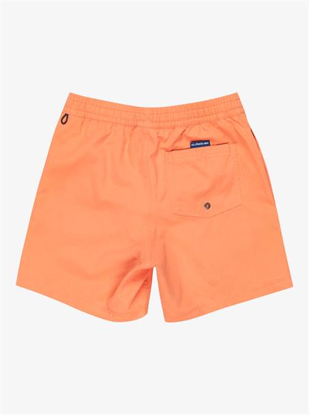 Quiksilver Everyday Solid 14" – Badeshorts für Jungen 8–16
