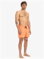 Quiksilver Everyday Solid 15" - Swim Shorts for Men