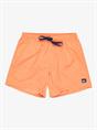 Quiksilver Everyday Solid 15" - Swim Shorts for Men