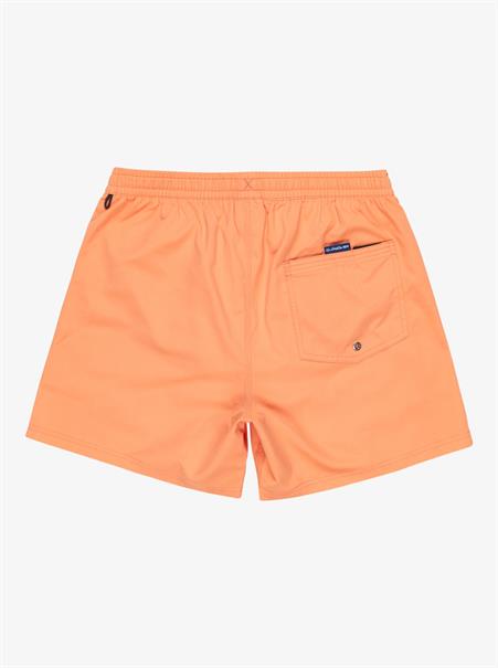 Quiksilver Everyday Solid 15" - Swim Shorts for Men