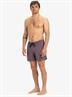 Quiksilver Everyday Solid 15