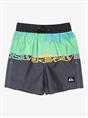 Quiksilver Everyday Straight 12" - Zwemshort voor jongens van 2 - 7 jaar