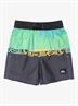 Quiksilver Everyday Straight 12