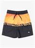 Quiksilver Everyday Straight 12