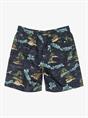 Quiksilver Everyday Straight 17" - Swim Shorts for Men