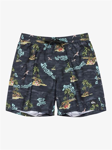 Quiksilver Everyday Straight 17" - Swim Shorts for Men