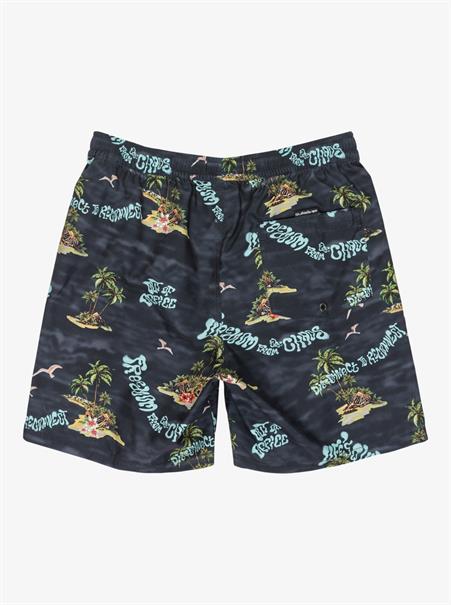 Quiksilver Everyday Straight 17" - Swim Shorts for Men