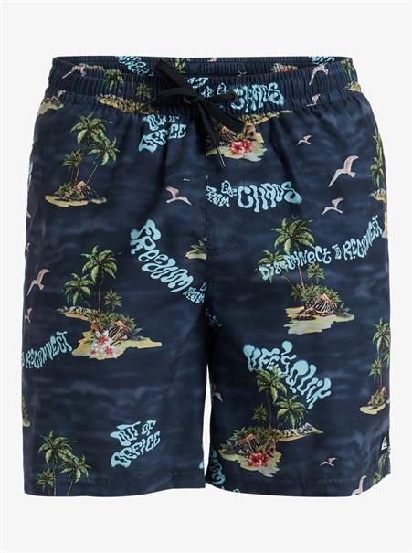 Quiksilver Everyday Straight 17" - Swim Shorts for Men
