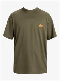 Quiksilver Everyday Surf - Short Sleeve UPF 50 Surf T-Shirt for Men