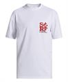 Quiksilver EVERYDAY SURF TEE SS YOUTH - Boys S/SL Surf Tee