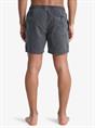 Quiksilver Everyday Surfwash 15" - Swim Shorts for Men