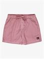 Quiksilver Everyday Surfwash 15" - Swim Shorts for Men
