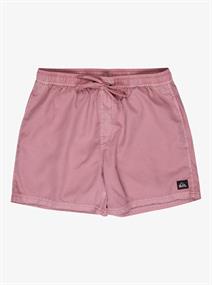 Quiksilver Everyday Surfwash 15" - Swim Shorts for Men