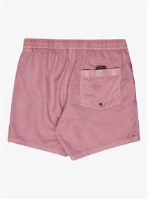 Quiksilver Everyday Surfwash 15" - Swim Shorts for Men