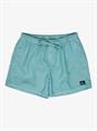 Quiksilver Everyday Surfwash 15" - Zwemshorts voor heren