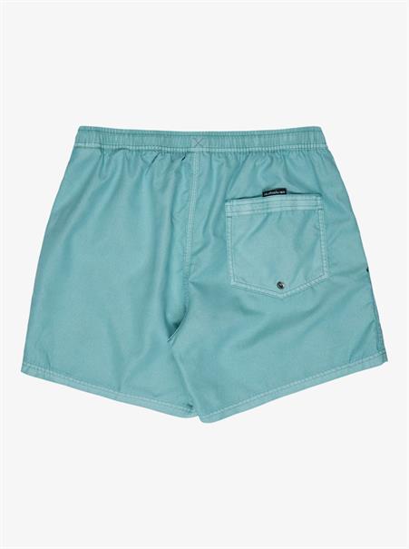 Quiksilver Everyday Surfwash 15" - Zwemshorts voor heren
