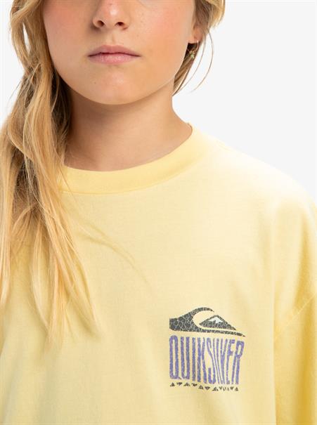 Quiksilver Gh Qs World Force - T-shirt met korte mouwen voor kids van 8 - 16 jaar
