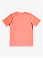 Quiksilver INCIRCLES B TEES - Jongens T-shirt short