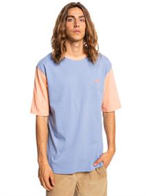 Quiksilver Master Plan - Short Sleeve T-Shirt for Young Men