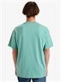 Quiksilver Nature Tee - Heren Surf Lifestyle T-shirt