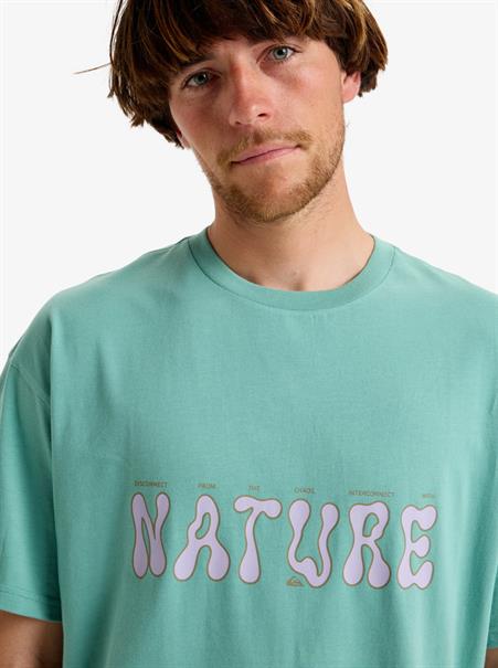Quiksilver Nature Tee - Heren Surf Lifestyle T-shirt