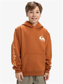 Quiksilver Omni Logo - Pullover-hoodie voor jongens van 8 - 16 jaar