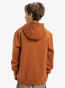 Quiksilver Omni Logo - Pullover-hoodie voor jongens van 8 - 16 jaar