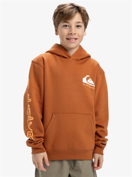 Quiksilver Omni Logo - Pullover-hoodie voor jongens van 8 - 16 jaar
