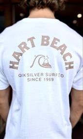 Quiksilver QSDESTISUNSETVI - Mens Surf Lifestyle Screen Tee
