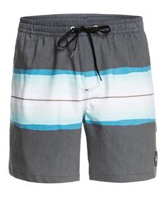 Quiksilver Resin Tint 17" - Swim Shorts for Young Men