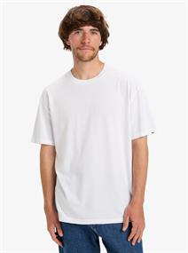 Quiksilver Salt Water - Mens Surf Lifestyle Short Sleeve T-shirt