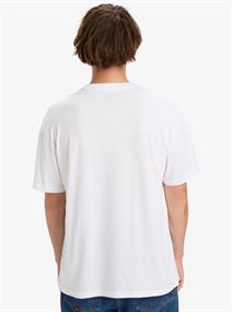 Quiksilver Salt Water - Mens Surf Lifestyle Short Sleeve T-shirt