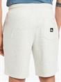 Quiksilver Salt Water - Shorts met elastische taille voor Heren