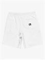 Quiksilver Salt Water - Shorts met elastische taille voor Heren