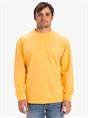 Quiksilver Salt Water - Sweatshirt met ronde hals voor heren