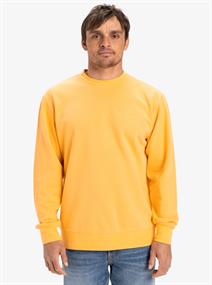 Quiksilver Salt Water - Sweatshirt met ronde hals voor heren