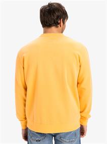 Quiksilver Salt Water - Sweatshirt met ronde hals voor heren